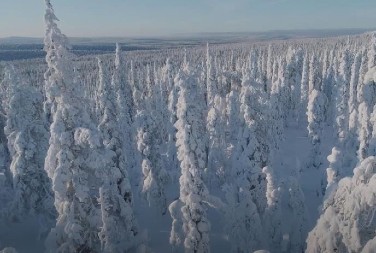 OVO JE BILA NAJHLADNIJA ZIMA U EVROPI Mrtve ptice su padale sa grana, vukovi ulazili u gradove, LJUDI UMIRALI U MUKAMA