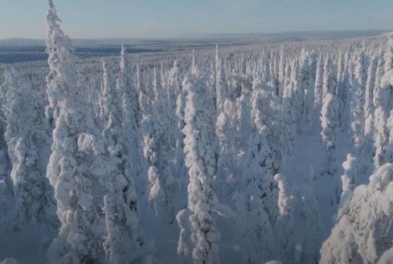 OVO JE BILA NAJHLADNIJA ZIMA U EVROPI Mrtve ptice su padale sa grana, vukovi ulazili u gradove, LJUDI UMIRALI U MUKAMA