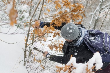 VEROVANJA ZA BADNJE JUTRO Evo šta treba izgovoriti i kako se ponašati
