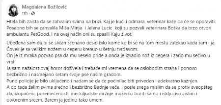 POTRAGA ZA NIŠKIM KASAPINOM Namamio psa, pa ga isekao a onda nastavio da šeta