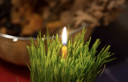 NIKAKO NE SMETE DA JE BACITE, STAVLJA SE NA POSEBNO MESTO Evo šta treba da uradite sa pšenicom posle Božića