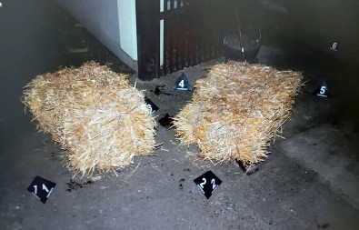 OGLASIO SE MUP O HAPŠENJU STOJANA IZ INĐIJE Osumnjičeni došao u stanicu u pratnji advokata