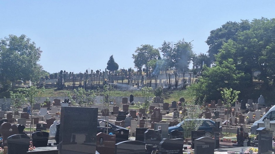 DRAMATIČNA SCENA NA ZADUŠNICE U ČAČKU Najviše stradale ukrasne tuje između grobnih parcela (FOTO)