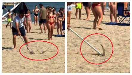 JEZIVA SCENA NA GRČKOJ PLAŽI Ljudi štapom love ogromnu zmiju, kupači gledaju u neverici (VIDEO)