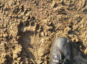 NEŠTO VELIKO ŠETA PORED SAVE! Upozorenje izdato građanima