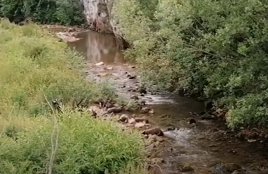 MAJKA I DETE POGINULI U STRAVIČNOJ NESREĆI Automobil sleteo sa puta u kanjon Miljacke
