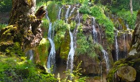 OVO JE JEDAN OD NAJVEĆIH BISERA SRPSKE PRIRODE Samo retki su čuli za njega, a leti izgleda nestvarno
