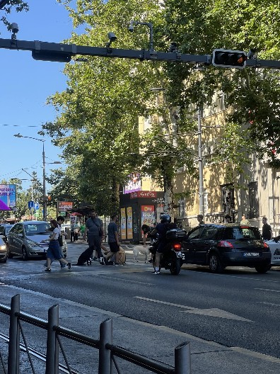 NARODE, OVI VAM SE SMEJU U LICE! Blokaderi na Slaviji SEDE na pešačkom i šetaju pse, ovo nema NIGDE (VIDEO)