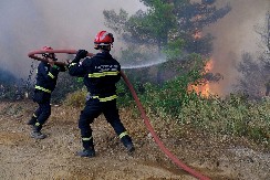 VIKENDAŠ LOPATOM GASIO POŽAR I OSTAO BEZ SVESTI, LEKARI MU SE BORE ZA ŽIVOT Vatra na Ovčanskom putu PROGUTALA 10 hektara useva