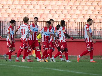 KASA PUNA DO VRHA Evo koliko je Zvezda zaradila ovog leta