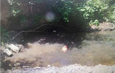 ZVER U LJUDSKOM OBLIKU: Komšiji uzeo štence, pa ih svirepo ubio! Uhapšen monstrum iz Mionice, snimke objavljivao na mrežama! (FOTO)