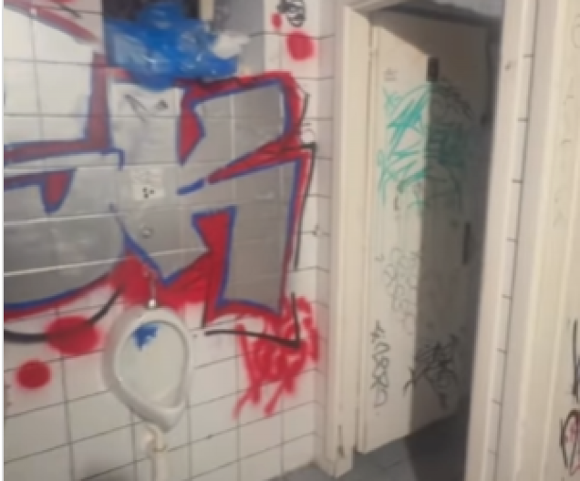 ZORANA MIHAJLOVIĆ ZGROŽENA ŠTA SU ZGUBIDANI NAPRAVILI OD SKC! Evo ŠTA su ostavili građanima Srbije, to je vrhunac varvarizma i vandalizma (VIDEO)