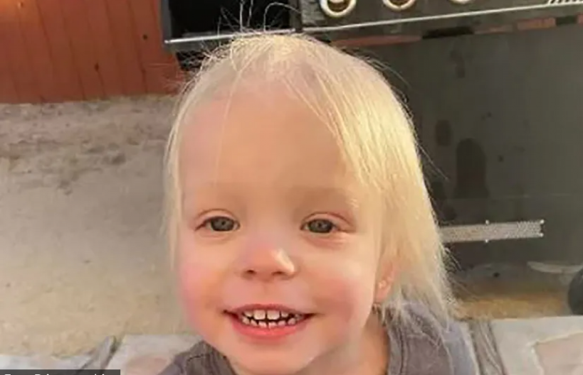 PLAČ KOJI NIKO NIJE ČUO: Kako je petogodišnja devojčica umrla u svom domu u NAJSTRAŠNIJIM MUKAMA!