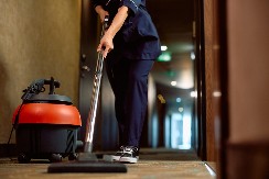 SKUPO PLATILA SPREMANJE STANA Starica putem oglasa zaposlila čistačice, pa ubrzo zažalila