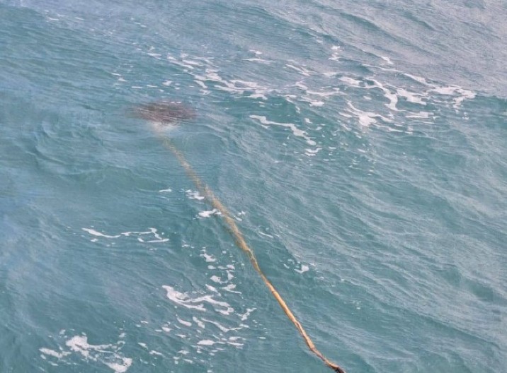 SURFER DOŽIVEO HOROR NA MORU Primetio da štap pluta u vodi, kada je video šta visi na njemu, ZANEMEO OD ŠOKA! (VIDEO)