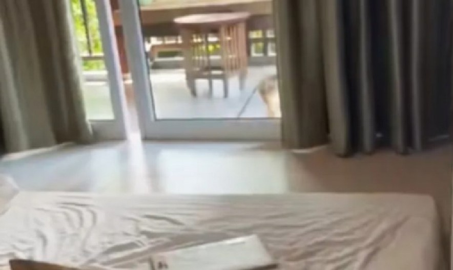 ŽENA DOŽIVELA NOĆNU MORU NA ODMORU Nepozvani gost provalio u hotelsku sobu i napravio HAOS,  snimak zapalio mreže! (VIDEO)