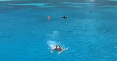 STRAH I HAOS NA PLAŽI Divlja zver upala među kupače – ljudi bežali, deca vrištala, snimak LEDI KRV U ŽILAMA! (VIDEO)
