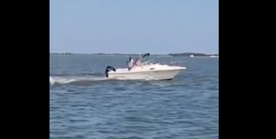 KAMERA ZABELEŽILA KAKO JE NESREĆNA ŽIVOTINJA UGINULA Kit se sudario sa čamcem u SAD (VIDEO)