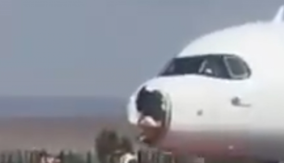 AVION SE SUDARIO SA PTICOM Drama u vazduhu (VIDEO)