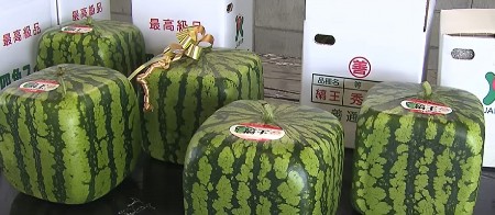 DA LI STE ČULI ZA KOCKASTE LUBENICE? Nastale su u Japanu, koštaju oko 500 evra, a evo kakvog su ukusa