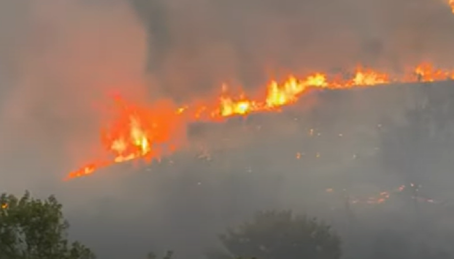 GORI ALBANIJA! Besni vatrena stihija u više opština, 19 aktivnih požara