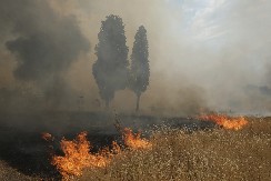 DRAMA U BARU Ukrajinac izazvao požar, NJEGOVA DECA sve gledala, kada je policija shvatila šta se dešava...
