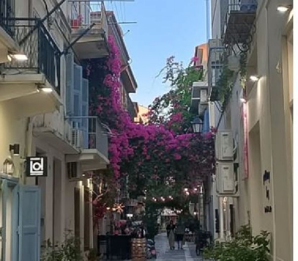 CVETAJU DO PRVIH SNEGOVA Napravite atrakciju na balkonu - Ove biljke su idealne za jesenji period