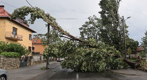 VETAR OBARA DRVEĆE, PLJUŠTI KAO IZ KABLA... Strašno nevreme izazvala nevolje u gradu i okolnim selima, nemile scene u komšiluku