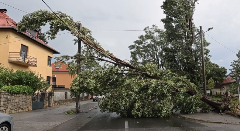 VETAR OBARA DRVEĆE, PLJUŠTI KAO IZ KABLA... Strašno nevreme izazvala nevolje u gradu i okolnim selima, nemile scene u komšiluku