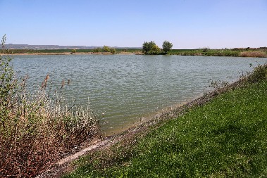 UŽAS U ZEMUNU  Iz Dunava izvučeno telo mlađeg muškarca