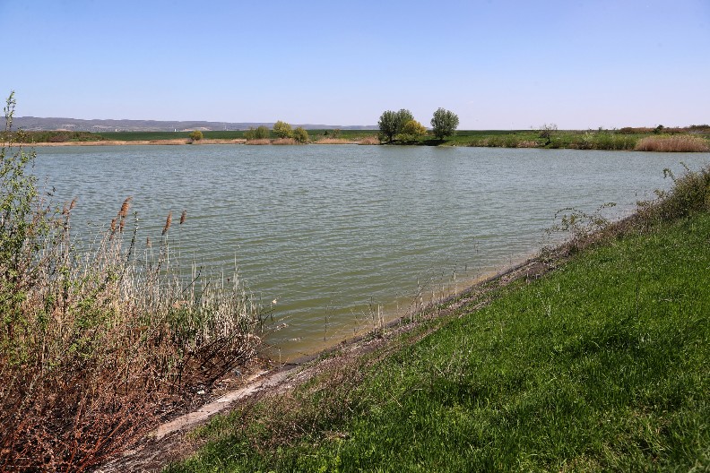 UŽAS U ZEMUNU  Iz Dunava izvučeno telo mlađeg muškarca