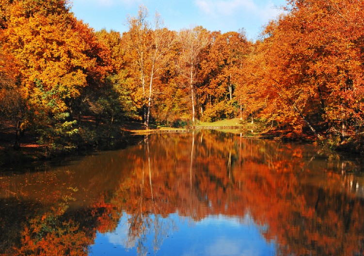 Na padinama Crnog vrha: Zašto je Borsko jezero omiljeno izletište