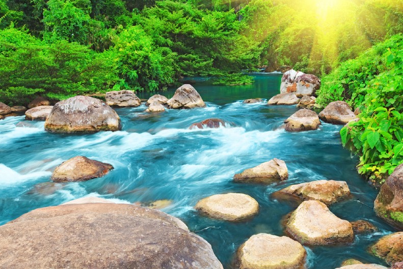 Banja oborila s nogu posetioce, pravi je raj na zemlji: Na samo pola sata od Beograda nalazi se ova lekovita oaza