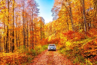 DANAS POČINJE JESEN