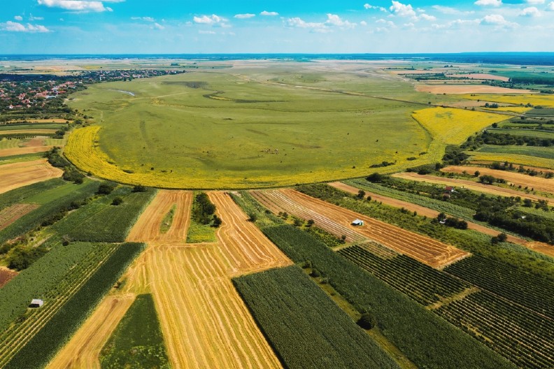 Oglašena prodaja: U ovom delu Srbije nude se kuće od 4.000 do 15.000 evra