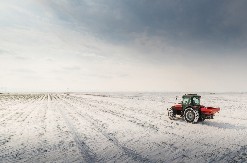 ZAŠTO SE NA MITROVDAN NE ZAPOČINJE PUT I KAKO VAM SLAMA PRORIČE BUDUĆNOST: Najstarija srpska verovanja pred zimu!