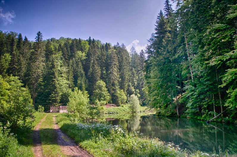 MESTO GDE SE REKA GUBI I POЈAVLЈUЈE: Otkrijte klisuru u Srbiji gde reka teče samo 365 metara!