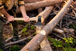 VIC DANA Zaposlio se Bosanac kao drvoseča u Norveškoj...