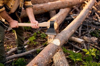 VIC DANA Zaposlio se Bosanac kao drvoseča u Norveškoj...