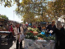 Crnogorac iz zemlje izvukao „neman“ od 10 kg, niko nije verovao dok nije stao pred kamere