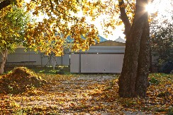 TREBA VAM DESETAK MINUTA ZA BUJNIJI I ZELENIJI TRAVNJAK Uradite samo ovo u bašti - važnije je nego što mislite
