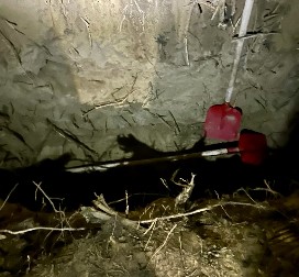 POLICIJSKI INSPEKTOR ODAVAO INFORMACIJE VRAČARCIMA Uhapšen sa saradnikom dok je kopao raku za žrtvu!