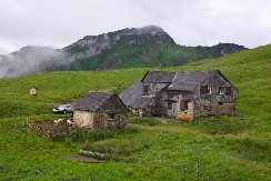 Jesenje „prespavalice“: Kako su naši stari čuvali zdravlje snom do Nikoljdana