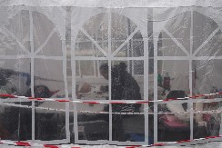 PROFESOR VRANIĆ OGOLIO BLOKADERE "Morbidno, kao da sede i čekaju da li će Hrka da izdrži do kraja"