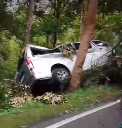 MINIBUS UDARIO U DRVO, POGINULO PET TURISTA Objavljeni snimci nakon stravične nesreće na Baliju (VIDEO)