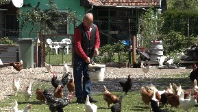 Hitna zabrana – zemlja Evrope obustavila uzgoj sve živine