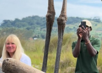 HAOS I PANIKA NA ČAMCU Ogromno stvorenje sletelo na drveno plovilo, turisti vrištali od šoka! (VIDEO)