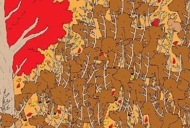 IMATE LI OKO SOKOLOVO? Samo 1% ljudi uspeva da pronađe srnu za manje od 40 sekundi - da li ste i vi među njima?