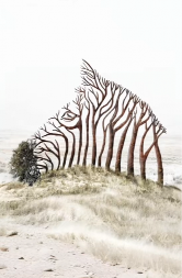 DA LI STE JAKI ILI OSETLJIVI? Optička illuzija otkriva vše nego što mislite - iskreno odgovorite šta prvo vidite na slici