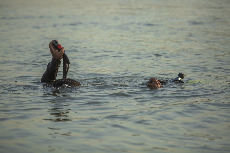 IZVUČENO TELO IZ KANALA Horor u Novoj Crnji